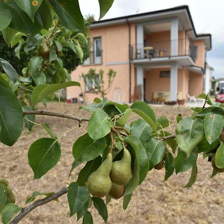 Natour L'Ostello Per I Camminatori 百瑞思西亚诺 外观 照片